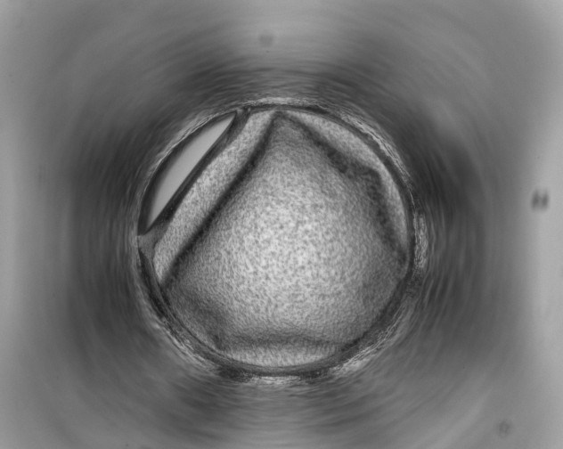 X0000099310482200805231406