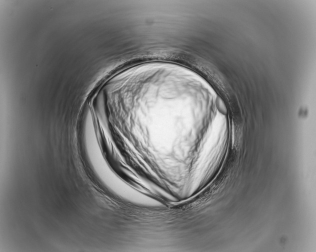 X0000099310483200805231406