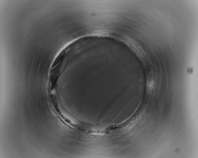 X0000099310484200805231406