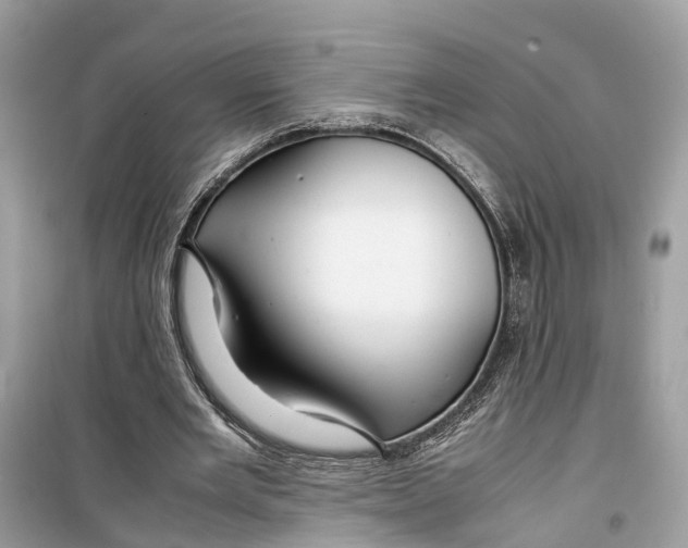 X0000099310485200805231406