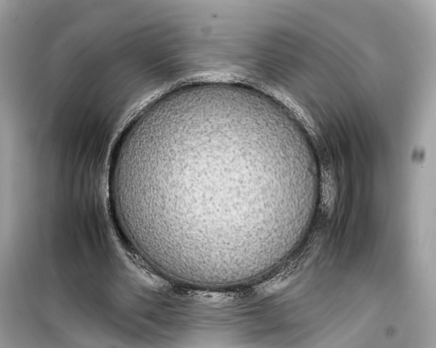 X0000099310486200805231406