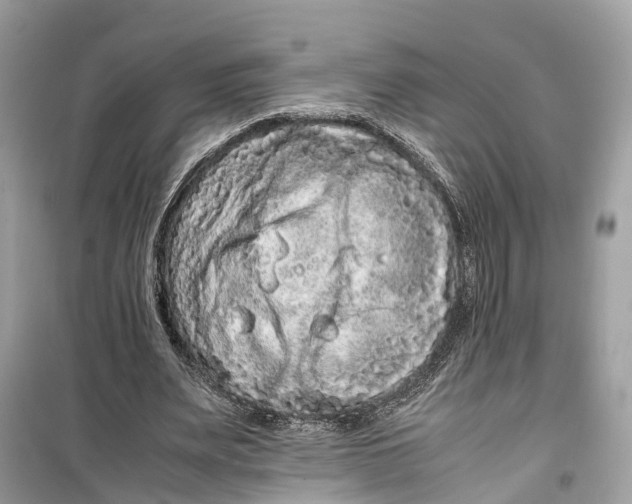 X0000099310487200805231406