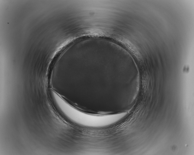 X0000099310488200805231406