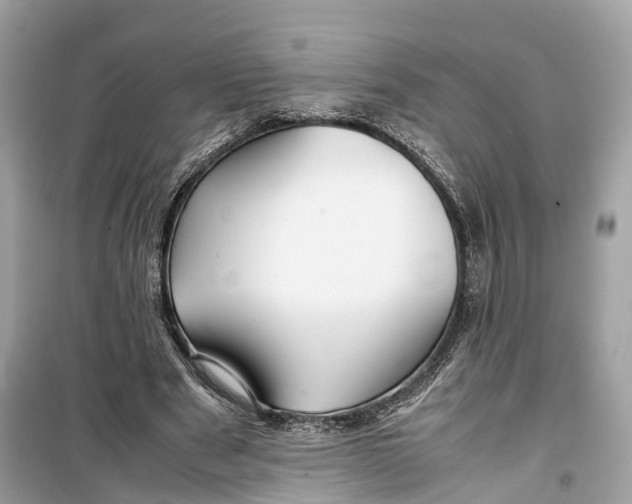 X0000099310489200805231406