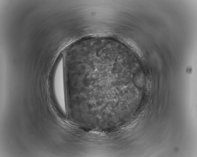 X0000099310491200805231406