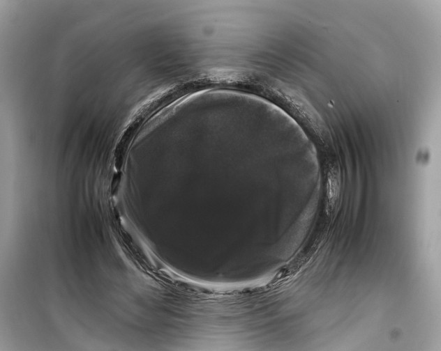 X0000099310492200805231406