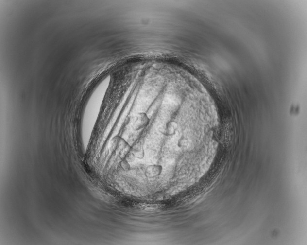 X0000099310495200805231406