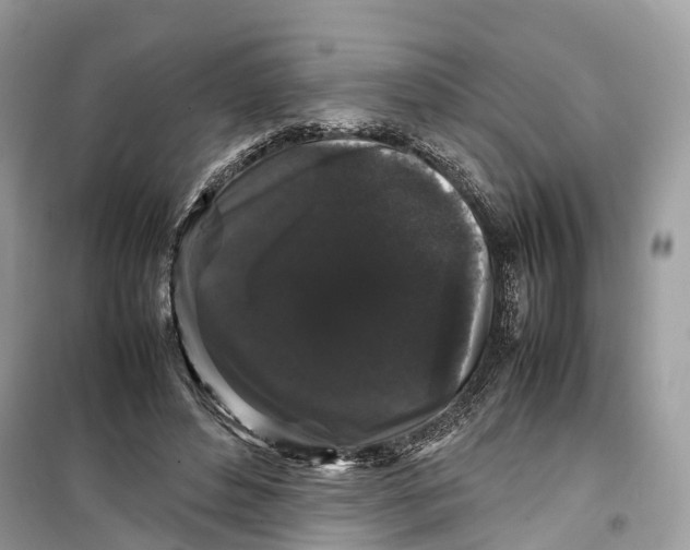 X0000099310496200805231406