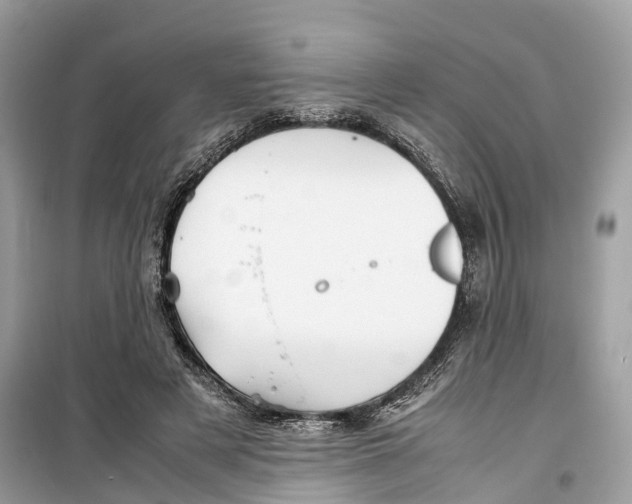 X0000099310497200805231406