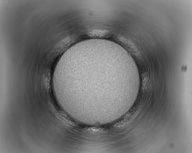 X0000099310498200805231406