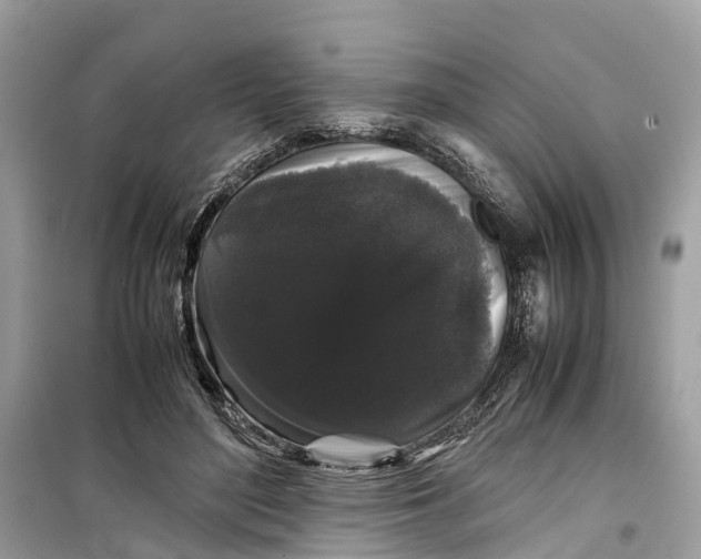 X0000099310500200805231406