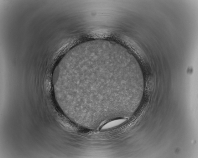 X0000099310501200805231406