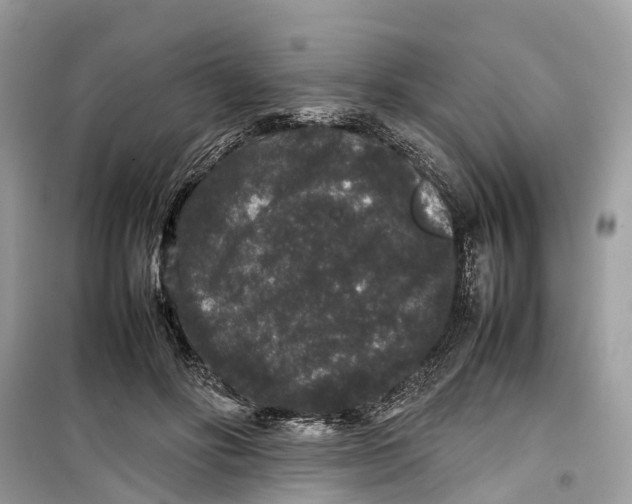 X0000099310502200805231406