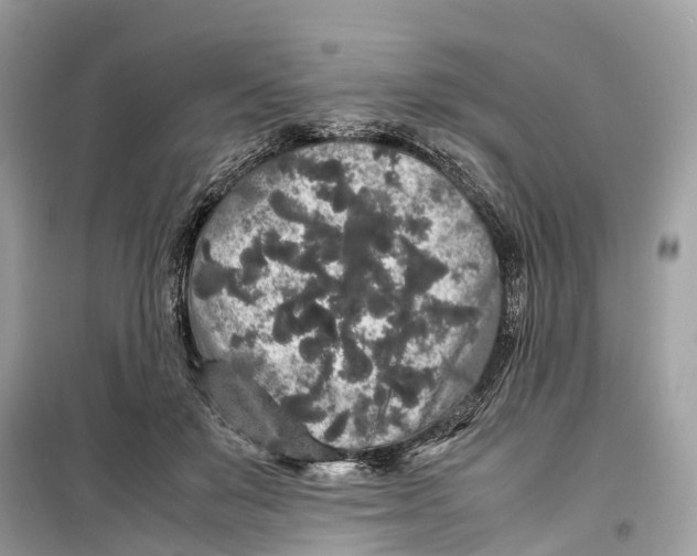 X0000099310503200805231406