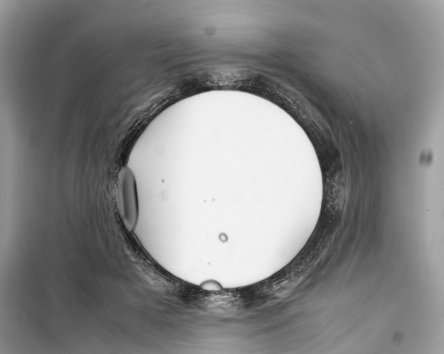 X0000099310505200805231406