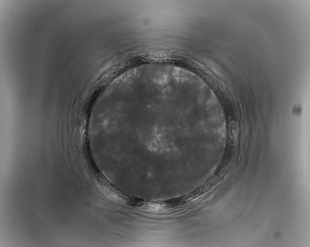 X0000099310507200805231406