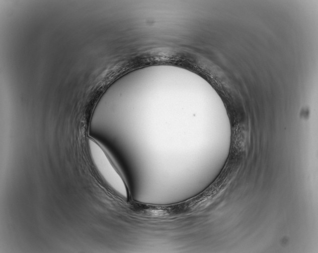 X0000099310509200805231406