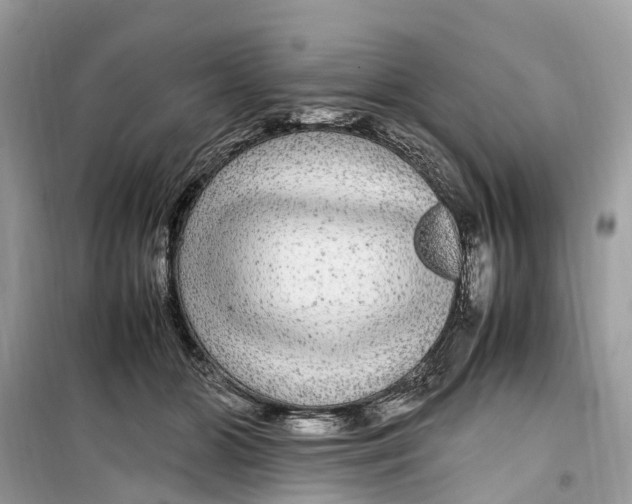 X0000099310510200805231406