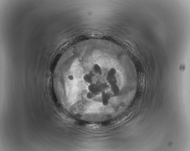 X0000099310511200805231406