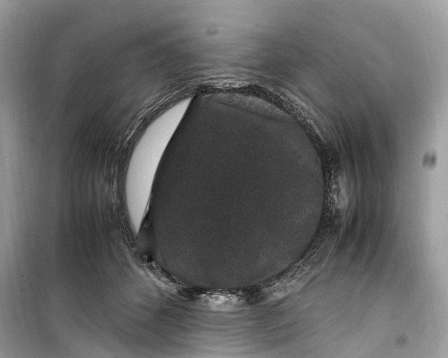 X0000099310512200805231406