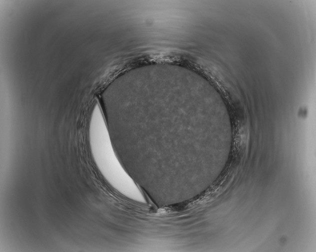 X0000099310513200805231406