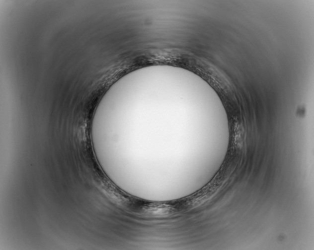 X0000099310514200805231406