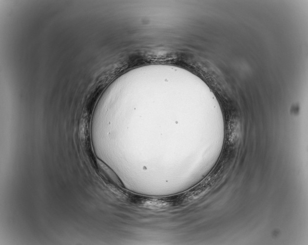 X0000099310515200805231406