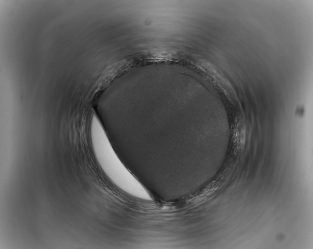 X0000099310516200805231406