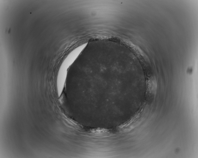 X0000099310517200805231406