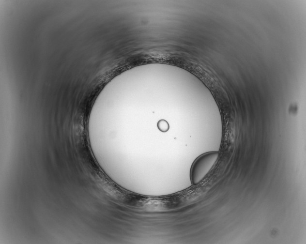 X0000099310518200805231406