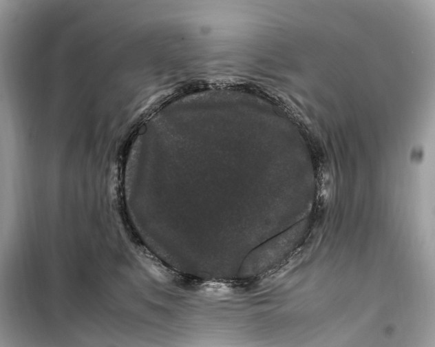 X0000099310519200805231406