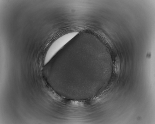 X0000099310520200805231406