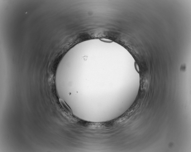 X0000099310521200805231406