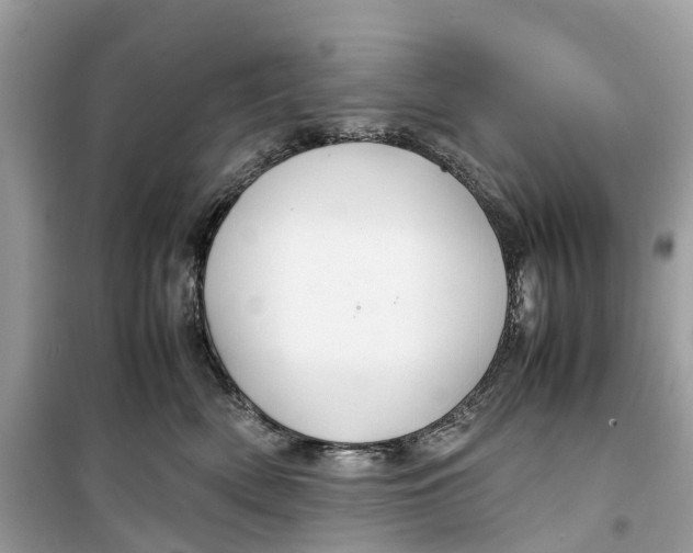 X0000099310522200805231406