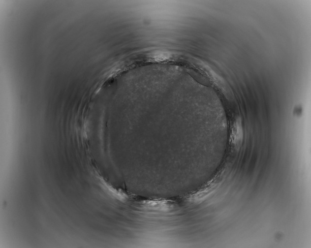 X0000099310524200805231406