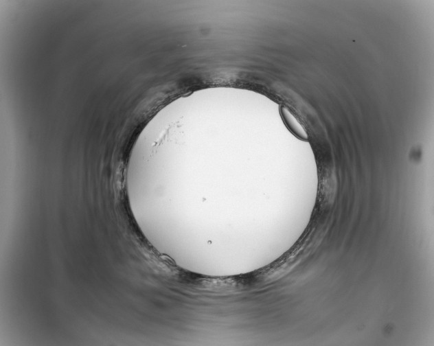 X0000099310525200805231406