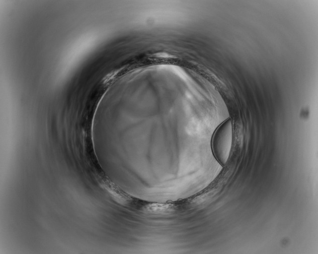 X0000099310526200805231406