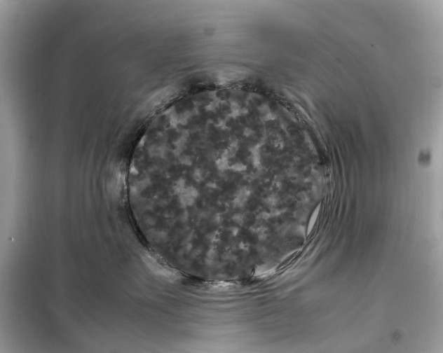 X0000099310527200805231406