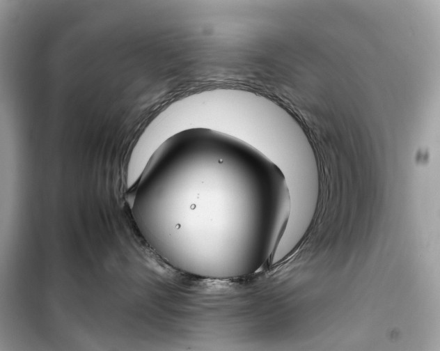 X0000099310528200805231406