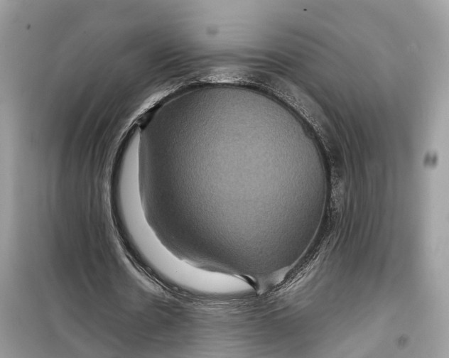 X0000099310530200805231405