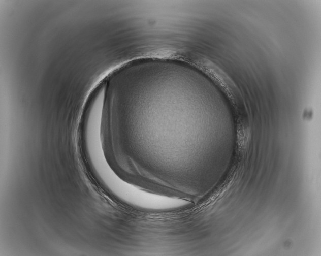 X0000099310532200805231405