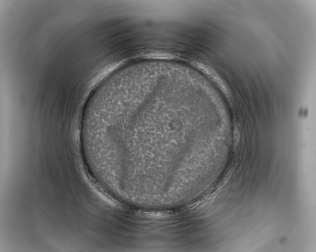 X0000099310533200805231405