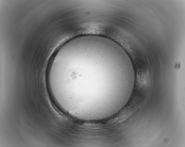 X0000099310534200805231405