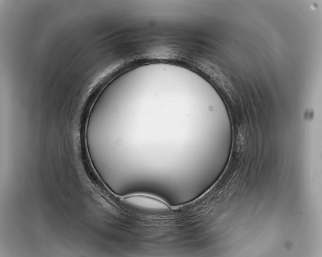 X0000099310535200805231405