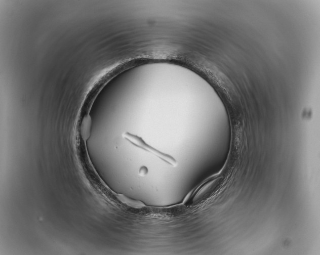 X0000099310536200805231405