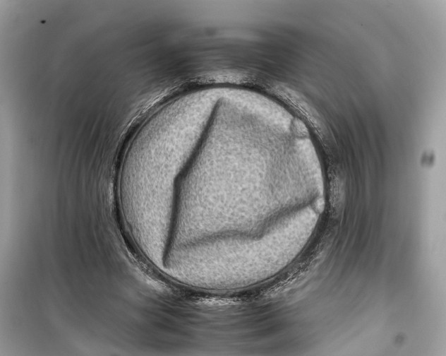 X0000099310537200805231405