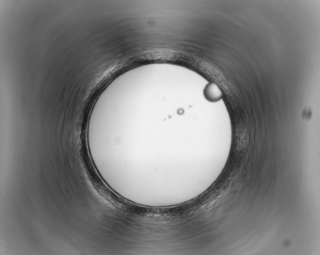 X0000099310538200805231405