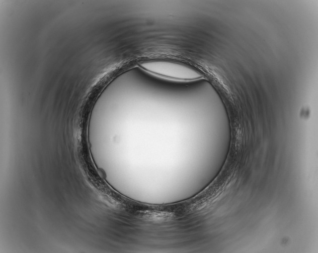 X0000099310539200805231405