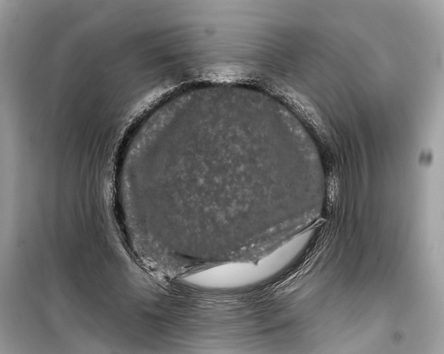 X0000099310540200805231405