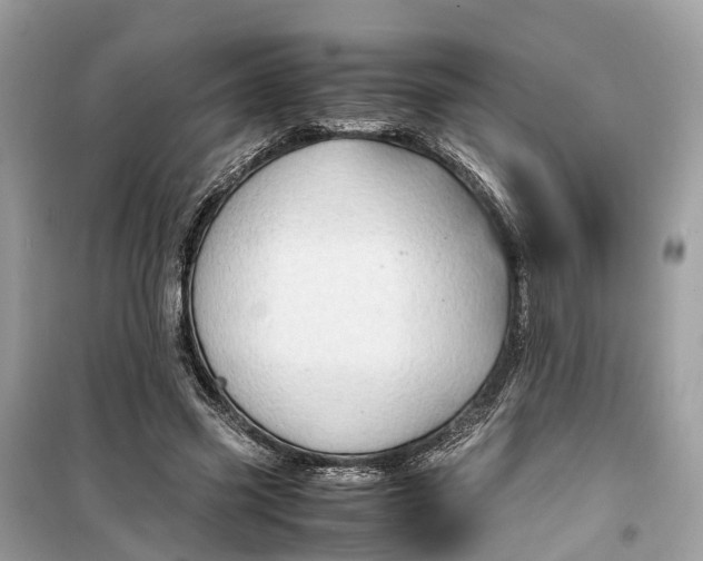 X0000099310541200805231405